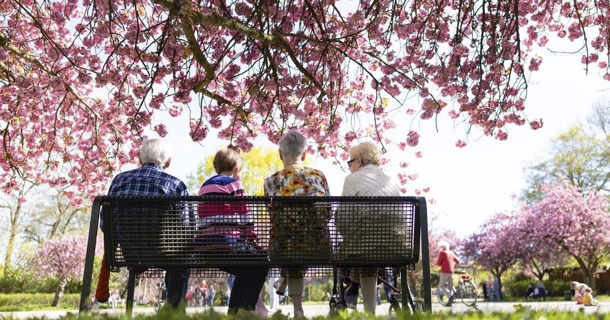 Presiunea pe pensii atinge cote maxime: România, în fața unei crize