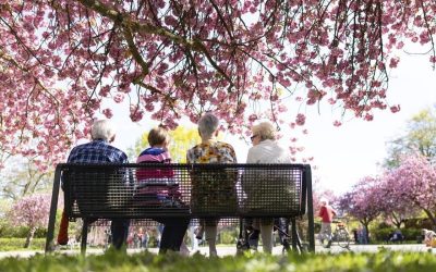 Presiunea pe pensii atinge cote maxime: România, în fața unei crize