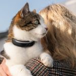 Zgărzi inteligente monitorizează sănătatea câinilor și pisicilor