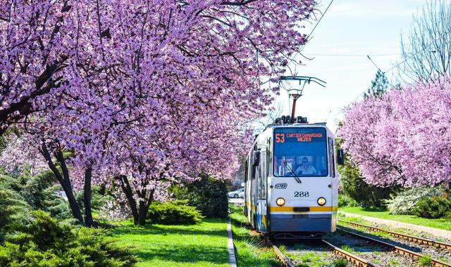 Program transport București de Paște: 25 de linii de noapte și tramvaiul 41
