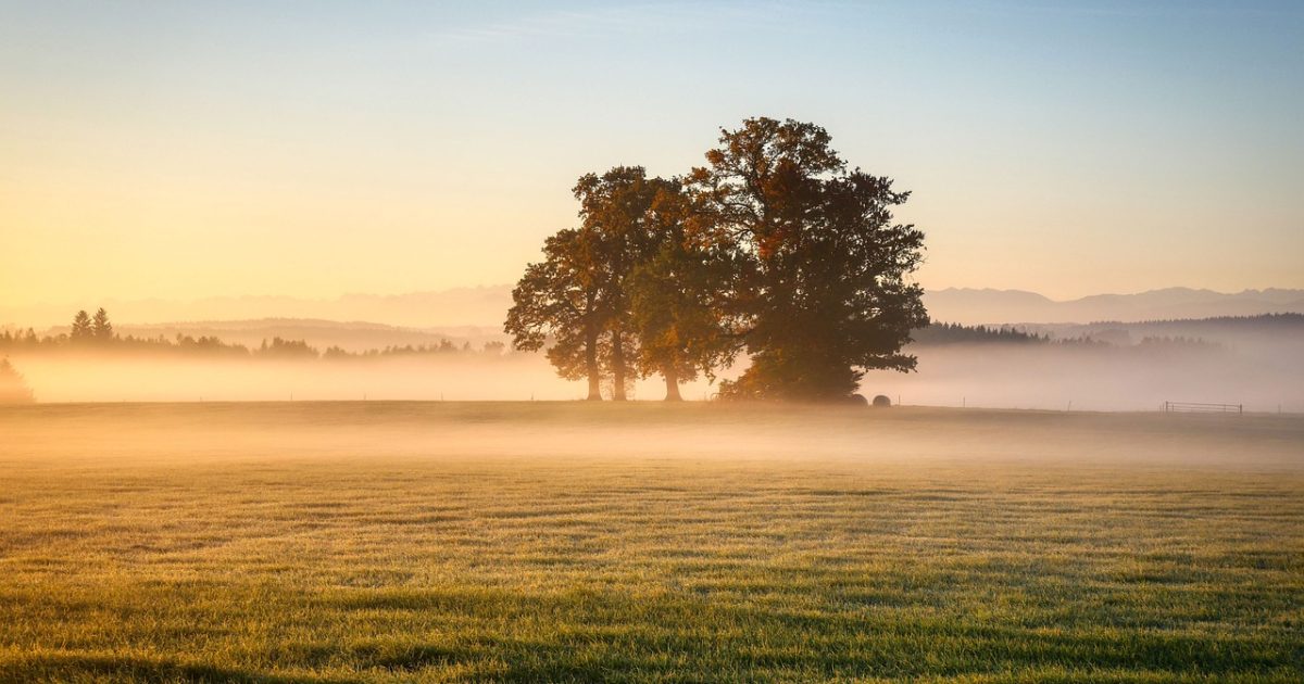 METEO: Vreme rece în România, sub așteptări. ANM anunță ce se întâmplă până pe 18 mai