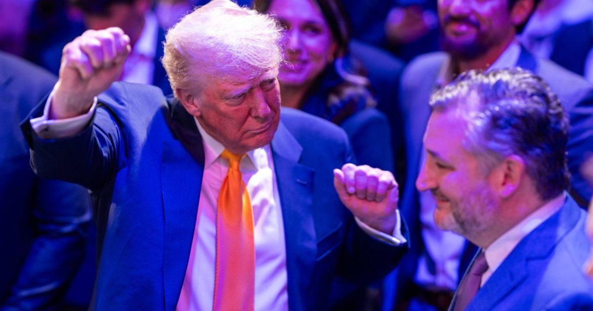 Donald Trump, la UFC! Un meci MMA chiar la Casa Albă?