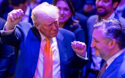 Donald Trump, la UFC! Un meci MMA chiar la Casa Albă?