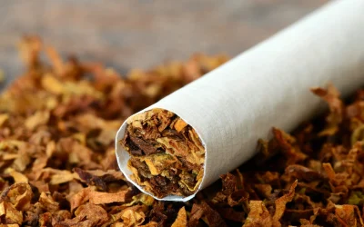 O lege crucială: Salvează vieți în România