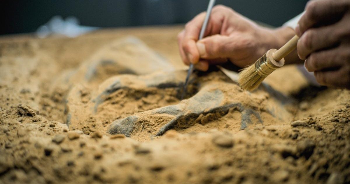 Mormânt FARAONIC spectaculos, descoperit în EGIPT: Mumii cu „limbi” de AUR