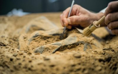 Mormânt FARAONIC spectaculos, descoperit în EGIPT: Mumii cu „limbi” de AUR