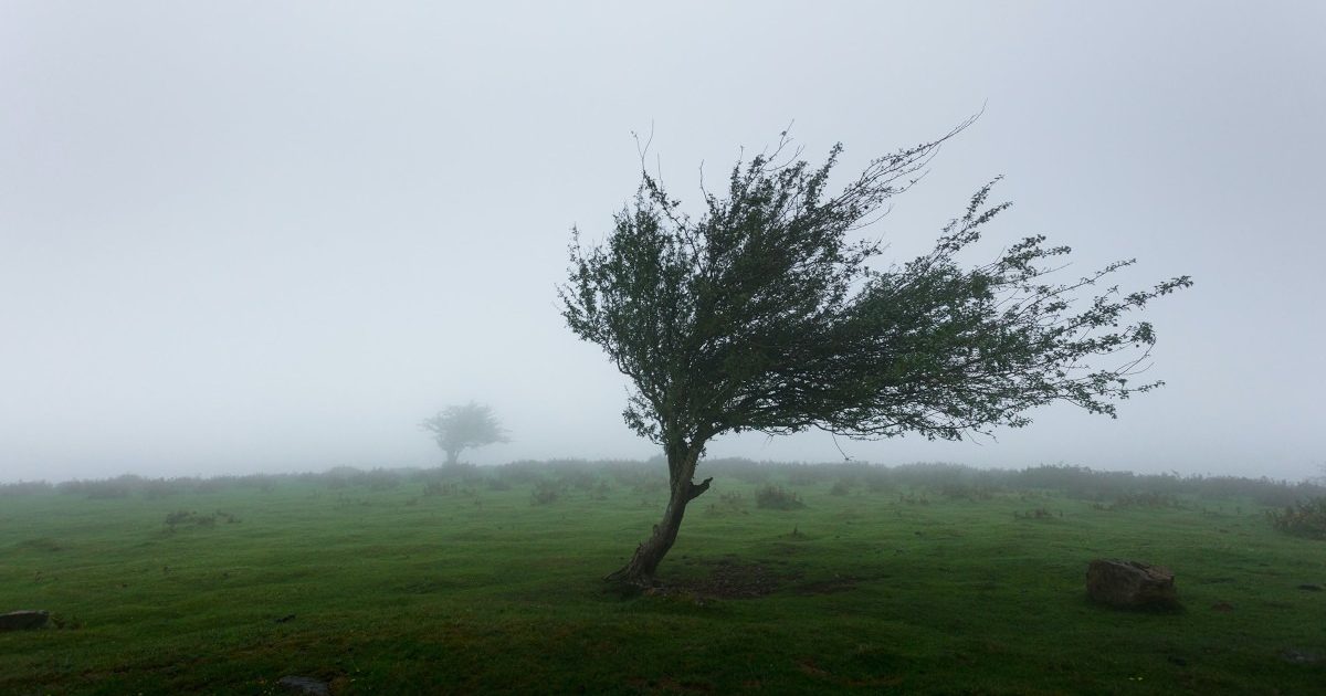 Avertisment meteo: Cod galben de vreme rea vineri și sâmbătă în România