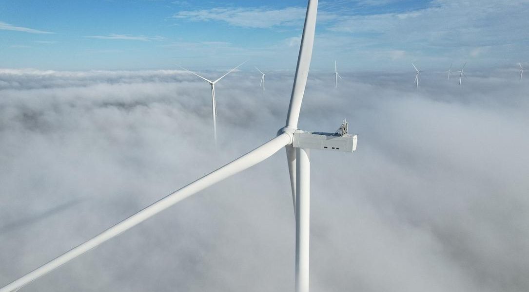 vifor_wind_farm_-_photo_rezolv_energy.jpg - NewsFactor