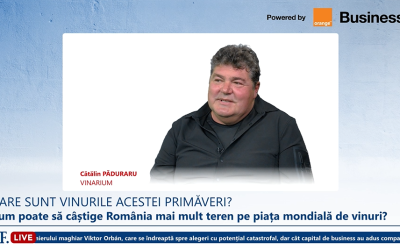 Ce ne rezervă Vinarium, concursul de vinuri de la… Anul acesta?