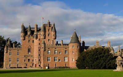 Vinuri RARE, îngropate-n castel, scoase la licitație: Prețuri ASTRONOMICE