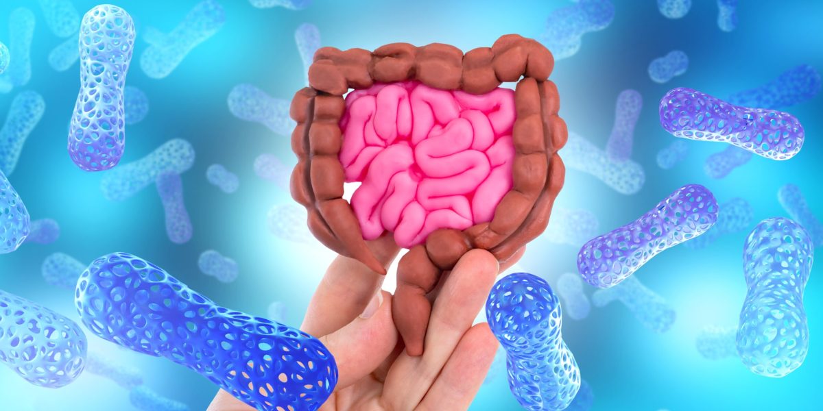 O armă secretă în intestine: Proteina care luptă cu bacteriile