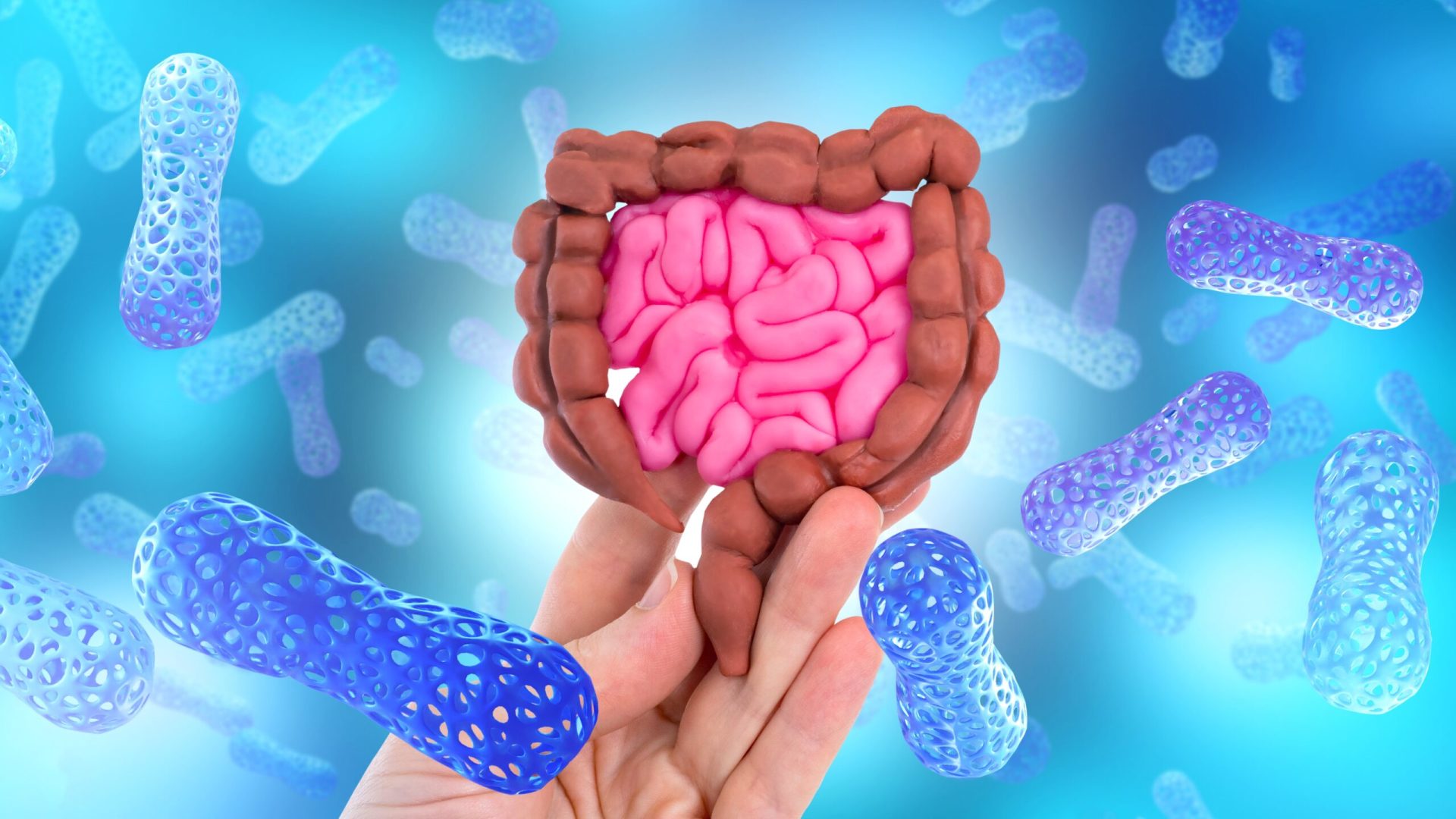 O proteină din intestin, cu rol crucial în lupta împotriva bacteriilor, ar putea deschide noi orizonturi în tratamentul bolilor inflamatorii