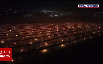 Fermier clujean, disperat de îngheț: 4.000 de lumânări și 40.000 de euro pentru livadă