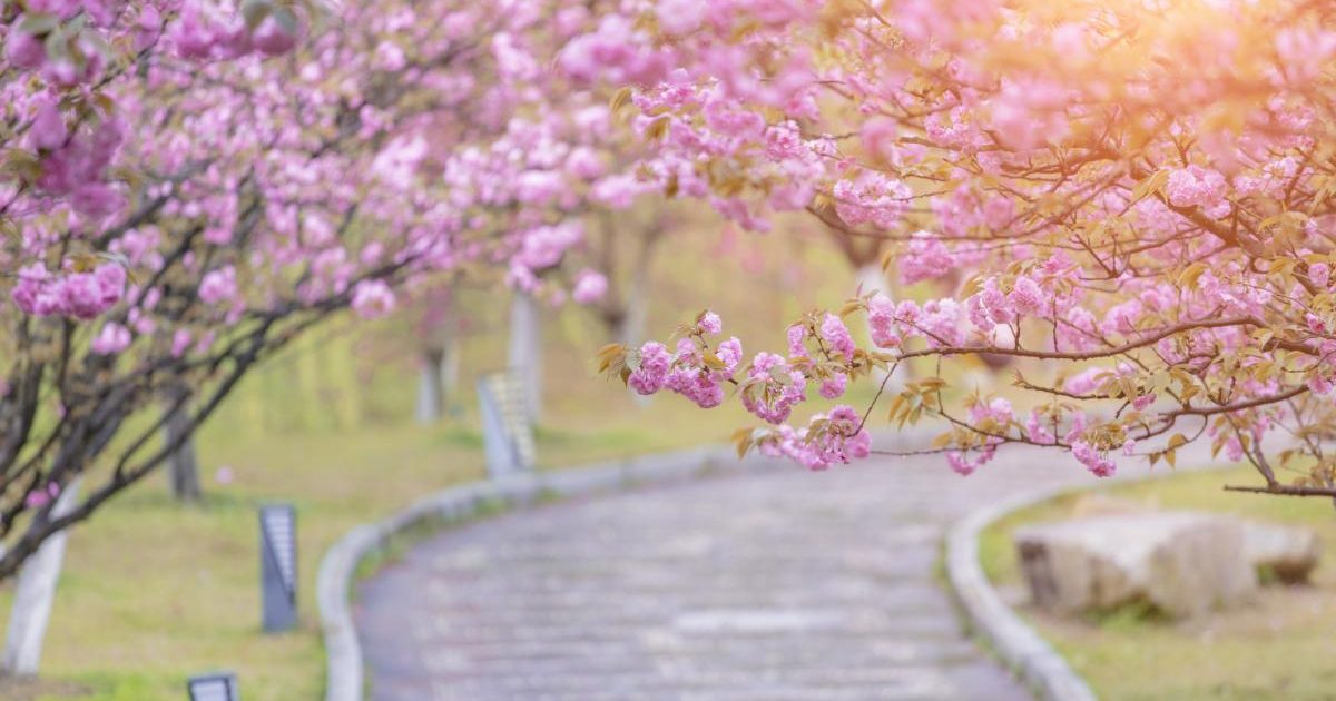 Ger puternic de Înviere: ANM anunță -5 grade în unele zone din România