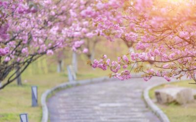 Ger puternic de Înviere: ANM anunță -5 grade în unele zone din România