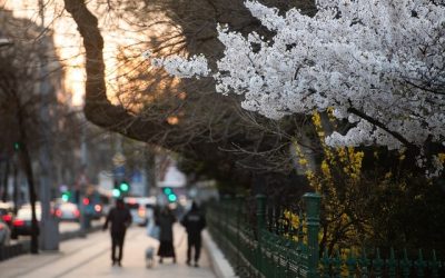 Temperaturile urcă, dar ploile lipsesc: Prognoza ANM pentru următoarele patru săptămâni Începând de săptămâna viitoare, românii din regiunile intracarpatice se vor bucura de temperaturi mai ridicate, conform prognozei Administrației Naționale de Meteorologie (ANM)