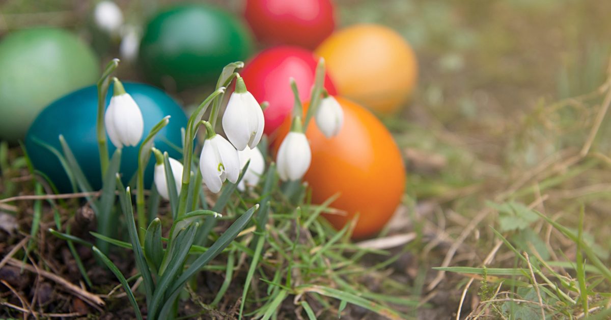 Vânt puternic peste România: Rafale de 90 km/h