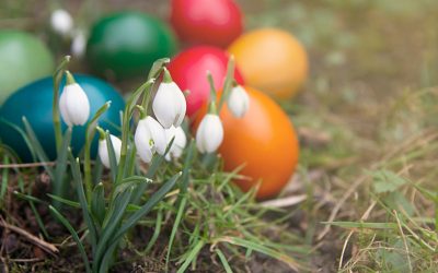 Vânt puternic peste România: Rafale de 90 km/h