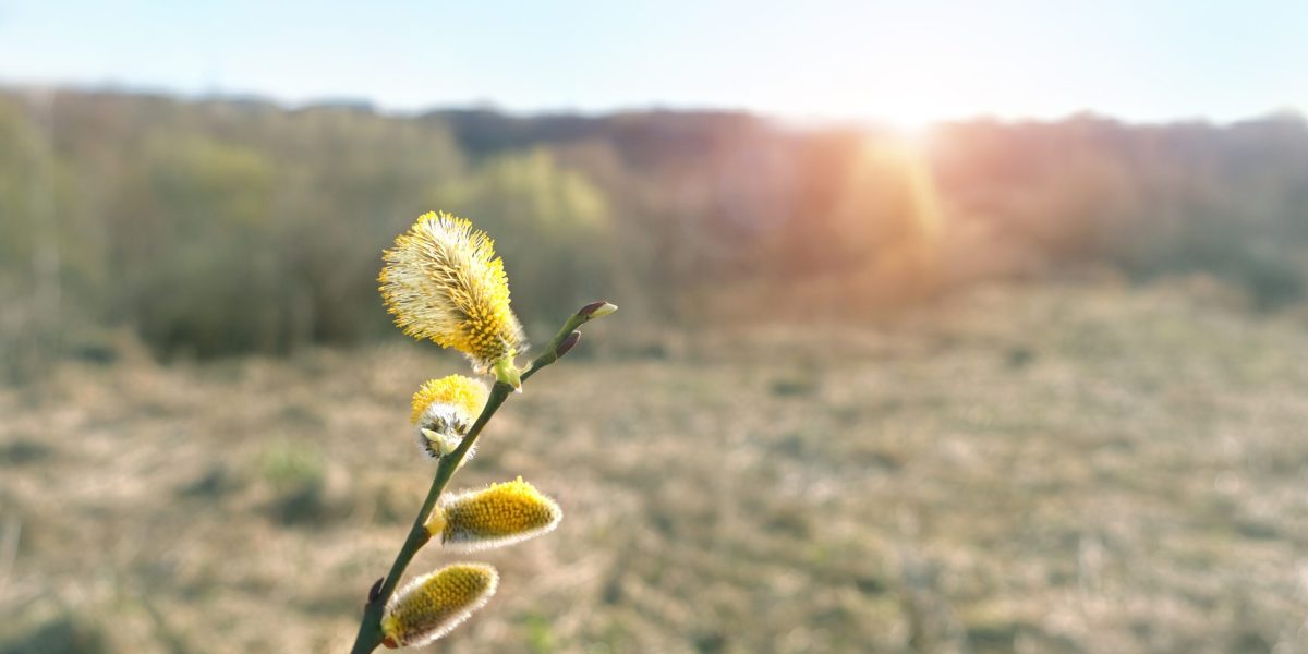 Vremea dă rateuri de paște: Ploi și temperaturi sub normal, anunță meteorologii