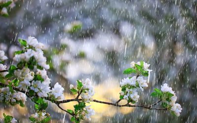 Minivacanța de 1 Mai: Vremea se strică! Ploi și frig în România