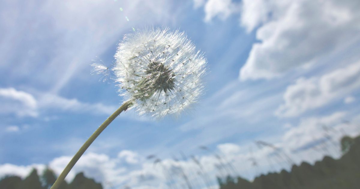 Vremea se încinge în România: ANM anunță temperaturi ridicate pentru patru săptămâni