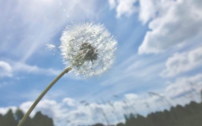 Vremea se încinge în România: ANM anunță temperaturi ridicate pentru patru săptămâni