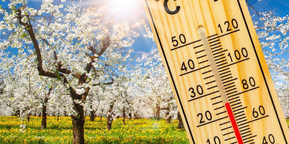 vremea-primavara-martie.jpg - NewsFactor