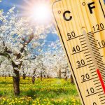 vremea-primavara-martie.jpg - NewsFactor