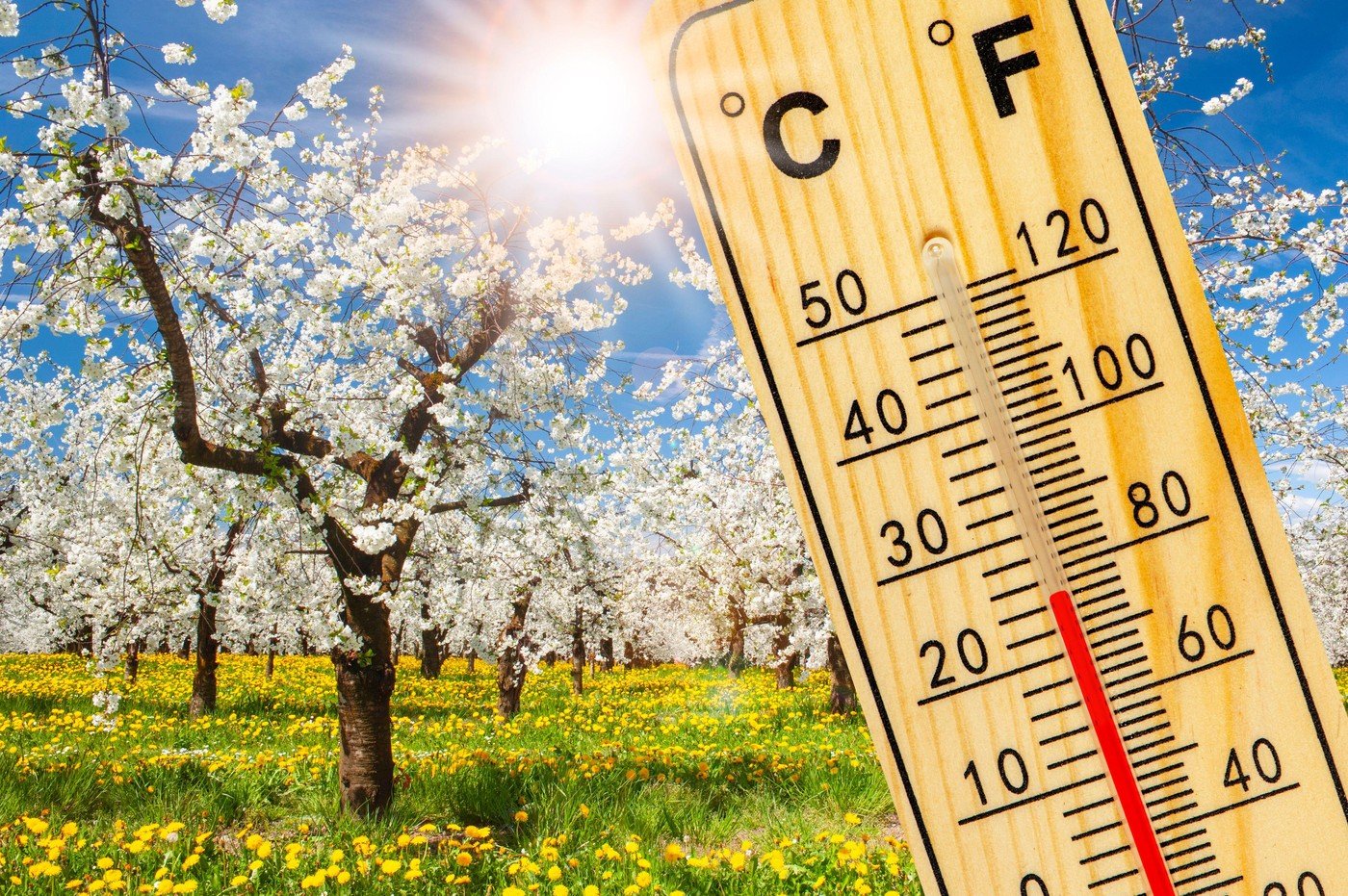 Vremea se încălzește treptat, dar ploile vor fi inegale: Prognoza meteo pentru următoarele săptămâni București – Românii se pot aștepta la o înălzire treptată a vremii în următoarele săptămâni, cu temperaturi peste cele normale pentru această perioadă a anului, potrivit prognozei meteorologice