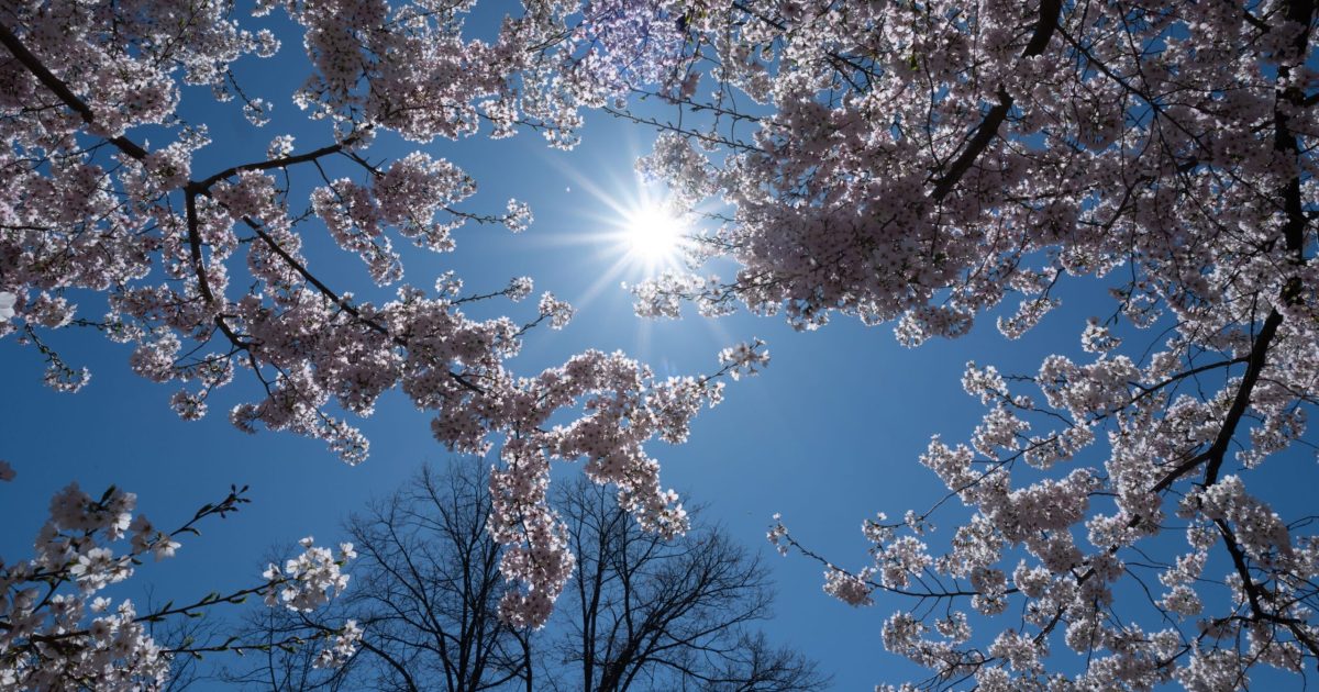 VREMEA de 1 Mai: Meteorologii anunță ce ne așteaptă în Romȃnia