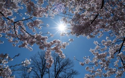 VREMEA de 1 Mai: Meteorologii anunță ce ne așteaptă în Romȃnia