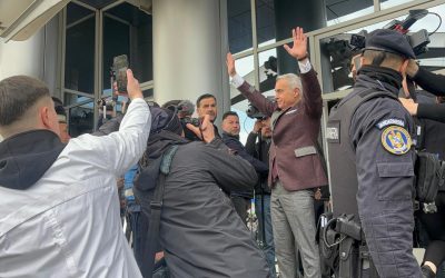 Guvernul, „găini speriate” care încearcă să „zboare” peste crize în România