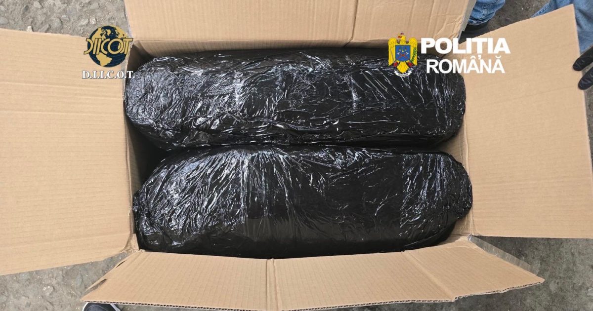 Droguri din Spania: Doi bărbați, arestați cu peste 13 kilograme de canabis