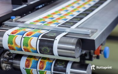 Rottaprint bagă 5 milioane de euro în 2026: Producție mai mare și tehnologie verde