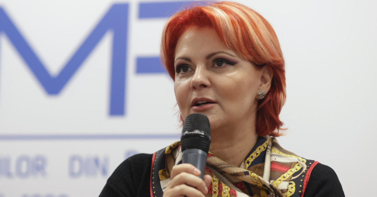 Lia Olguța Vasilescu amână regionalizarea: „Când se va face reformă”