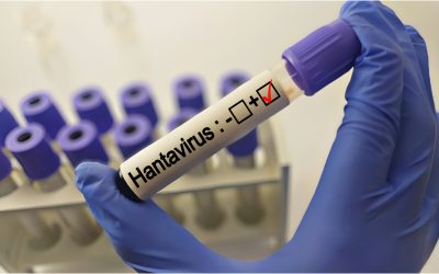 Hantavirus la Bihor: Pacient sub observație, Institutul Cantacuzino așteaptă rezultate