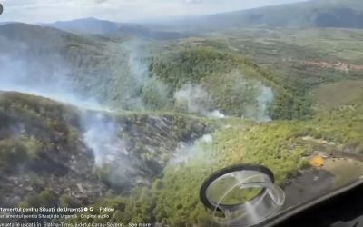Incendiu GROAZNIC în Ilova: Black Hawk salvează vegetația aruncând apă