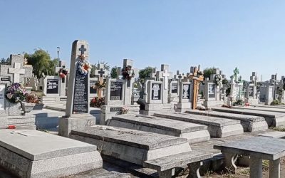 Consilier USR: Cimitirul din Sibiu, transformat în parc cu copaci