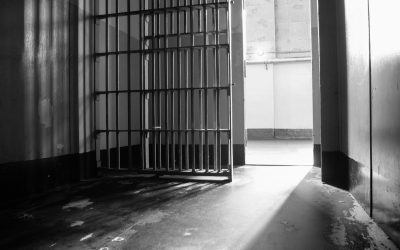 Moldovean acuzat de triplă crimă, liber din Iași. Aventura pe frontul din Ucraina