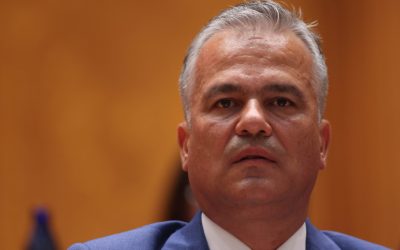 Veștea vrea PNL înapoi la rădăcini: Apel la revenirea în matricea identitară