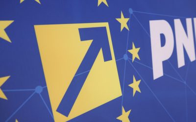 PNL acuză PSD de sabotaj după procesul intentat Guvernului