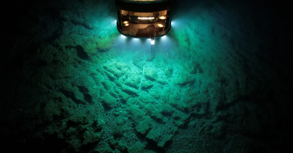 Oceanul ascunde hrană secretă, cercetătorii uimiți