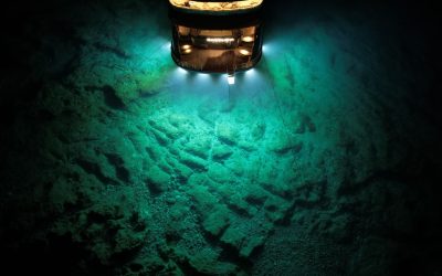 Oceanul ascunde hrană secretă, cercetătorii uimiți