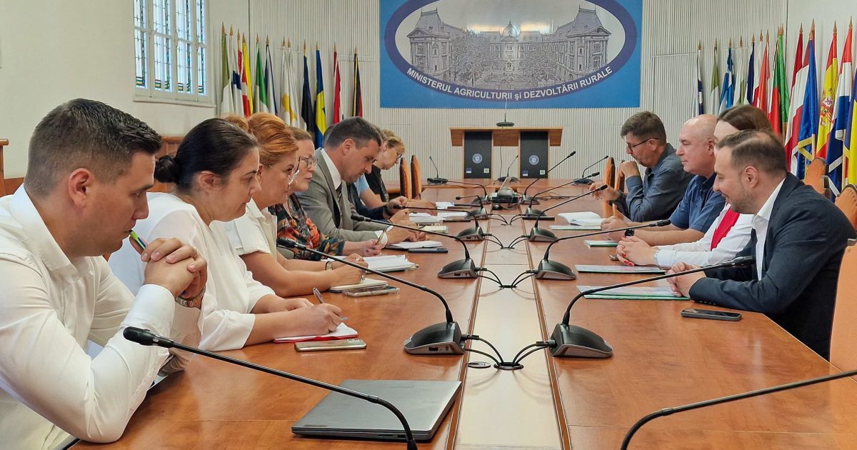 Vița interzisă de grindină: Fermierii cer ajutor, Agricultură pregătește măsuri