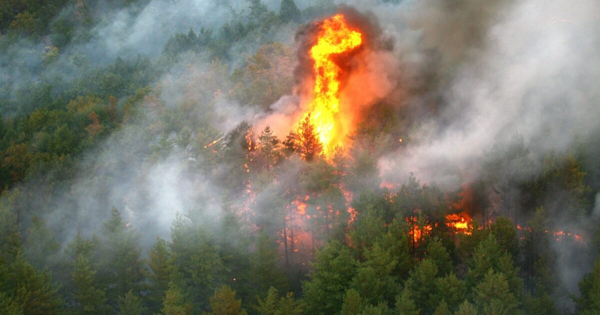 Fontainebleau: Pădurea emblematică arde lângă Paris