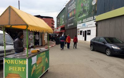 Litoral: Amenzi uriașe și închideri după controale ANSVSA