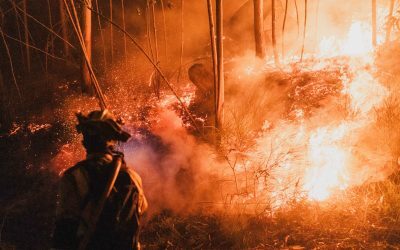 Valencia în flăcări: Cod Roșu de incendii masive