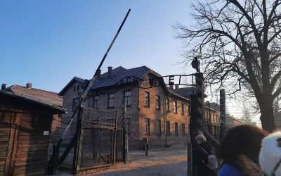 Polonez extremist, negarea Holocaustului: „Camerele de gazare, false”