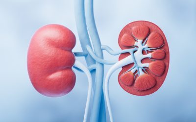 Urina ta, semnal de alarmă pentru rinichi. Ce spun medicii
