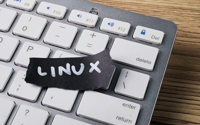 Linux la 35 de ani: De la student la regele IT-ului global